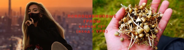 mdpv Баксан